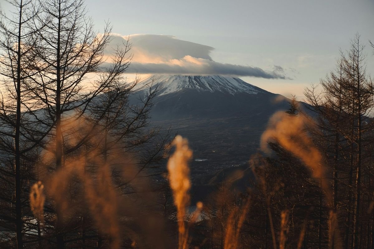 Top 10 Must-Do Experiences in Japan for First-Time Visitors Top 10 Must-Do Experiences in Japan for First-Time Visitors