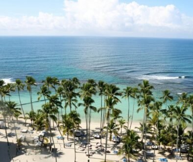 8 Incredible Things Not to Miss in Jamaica for an Unforgettable Trip