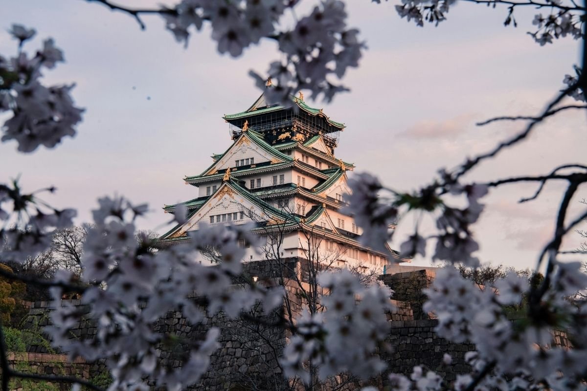 196 https://triportravel.com/wp-content/uploads/2025/07/194.jpg