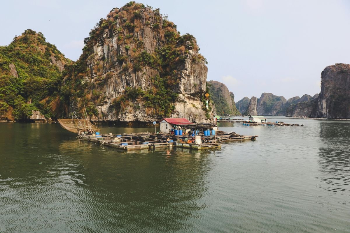 Best Time to Visit Vietnam: 7 Stunning Travel Insights Best Time to Visit Vietnam: 7 Stunning Travel Insights