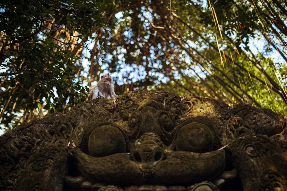 7 Best Attractions You Can’t Miss in Bali
